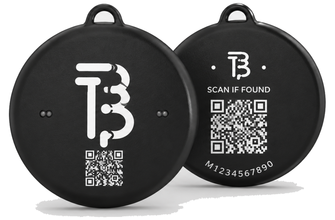 Black and silver TapBudi premium pet tags